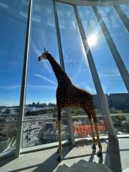 -IMON·HANSA潮玩玩偶毛绒玩具(通州万象汇店)