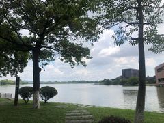 -松山湖风景区松湖烟雨