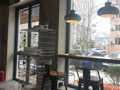 -ZM COFFEE(西安路店)