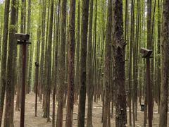 -山王坪喀斯特国家生态公园
