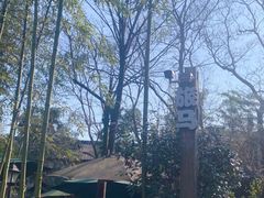 -旅马餐厅(茅家埠店)