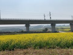 -光明小镇欢乐田园
