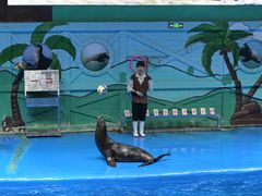 -石家庄极地海洋世界