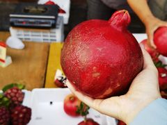-喜洲杨记破酥粑粑