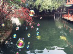 -棠湖公园