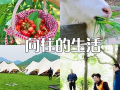 -桔子文创·企业团建·活动策划·拓展会议