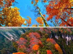 -光雾山旅游景区