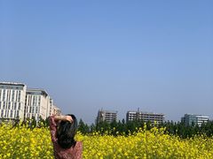 -瑶湖郊野森林公园