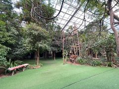 -呀路古热带植物园
