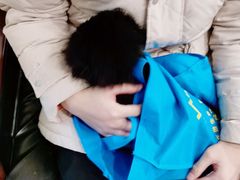 -宠颐生汉谟拉比宠物医院