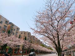 -永乐路-路侧停车场