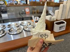 -野人先生Gelato(上海长宁龙之梦店)