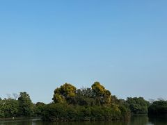 -大湾区中央湿地公园