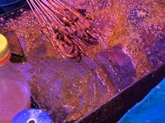 鱿鱼须-十里铺铁板鱿鱼