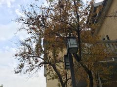 -美丽心情蛋糕(江苏路店)