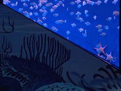 -沈阳海洋探索中心