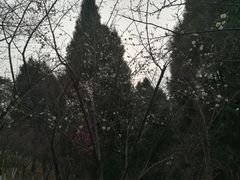-富乐山