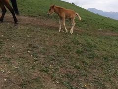 -灵山
