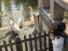 -苏州文庙(姑苏区)