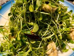 香椿苗核桃仁-华盛园卷子王农家菜水库鱼