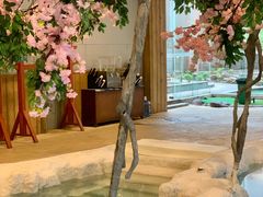 -中铁花水湾四季温泉谷