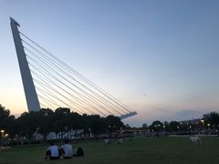 -紫荆广场·花漫里