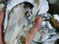 -蜀牛哥·炭火牛肉烤串鲜啤自助(龙泉铂悦山店)