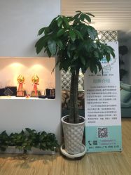 点击看大图 -YooMee优美智能科技美肤机构