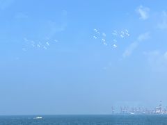 -海草馆自助餐厅(悦海店)