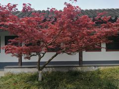 -荆川公园