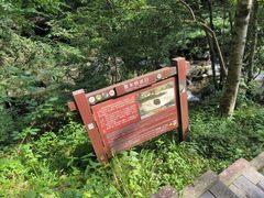 -大围山国家森林公园
