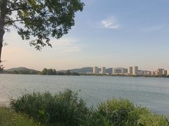 -无锡蠡湖国家湿地公园-蠡园