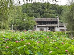 -重庆园博园