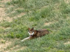 -鄂尔多斯野生动物园