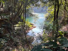 -广州市流溪河国家森林公园