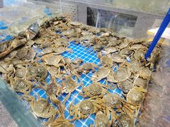 水产区-半岛听涛蒸汽海鲜自助(K11店)