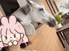 -昆城国际马术中心