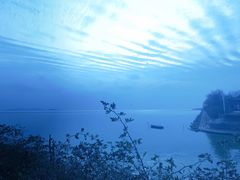 -贡湖湾湿地公园