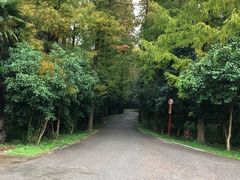 -崇明东平国家森林公园烧烤房车露营地