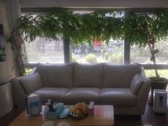 -精德口腔·种植修复·儿牙中心(财富中心店)