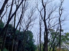 -杭州植物园