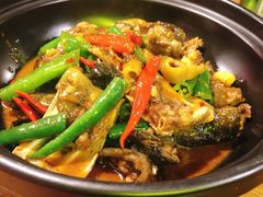 口味甲鱼-湘里乡亲甲王二老店