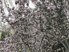 -南翠屏公园