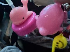-海合安成都极地海洋公园