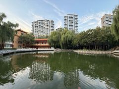-新川办餐厅