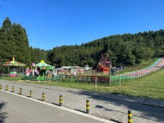 -武陵山森林公园