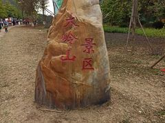 -东莞市大岭山森林公园