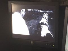-秃鹫湾·推理大师沉浸式实景演绎推理剧场
