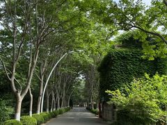 -日照海滨国家森林公园