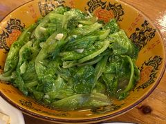 -欢乐松鼠谷